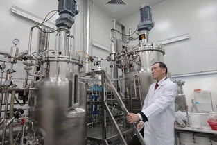 投資迷途 2500萬投資續命藥，兩年市值蒸發2億美元的警示